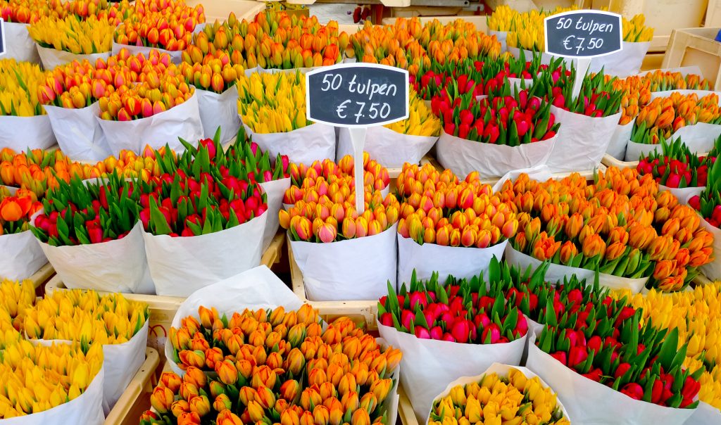 amsterdam-flower-market