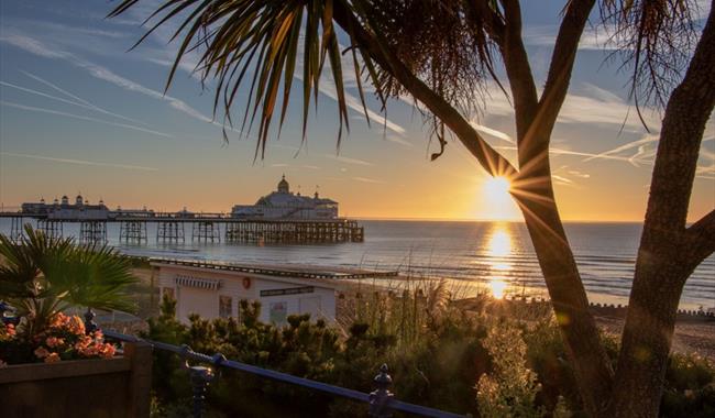 Places to Visit in Eastbourne